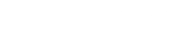 Sinsaa Toys